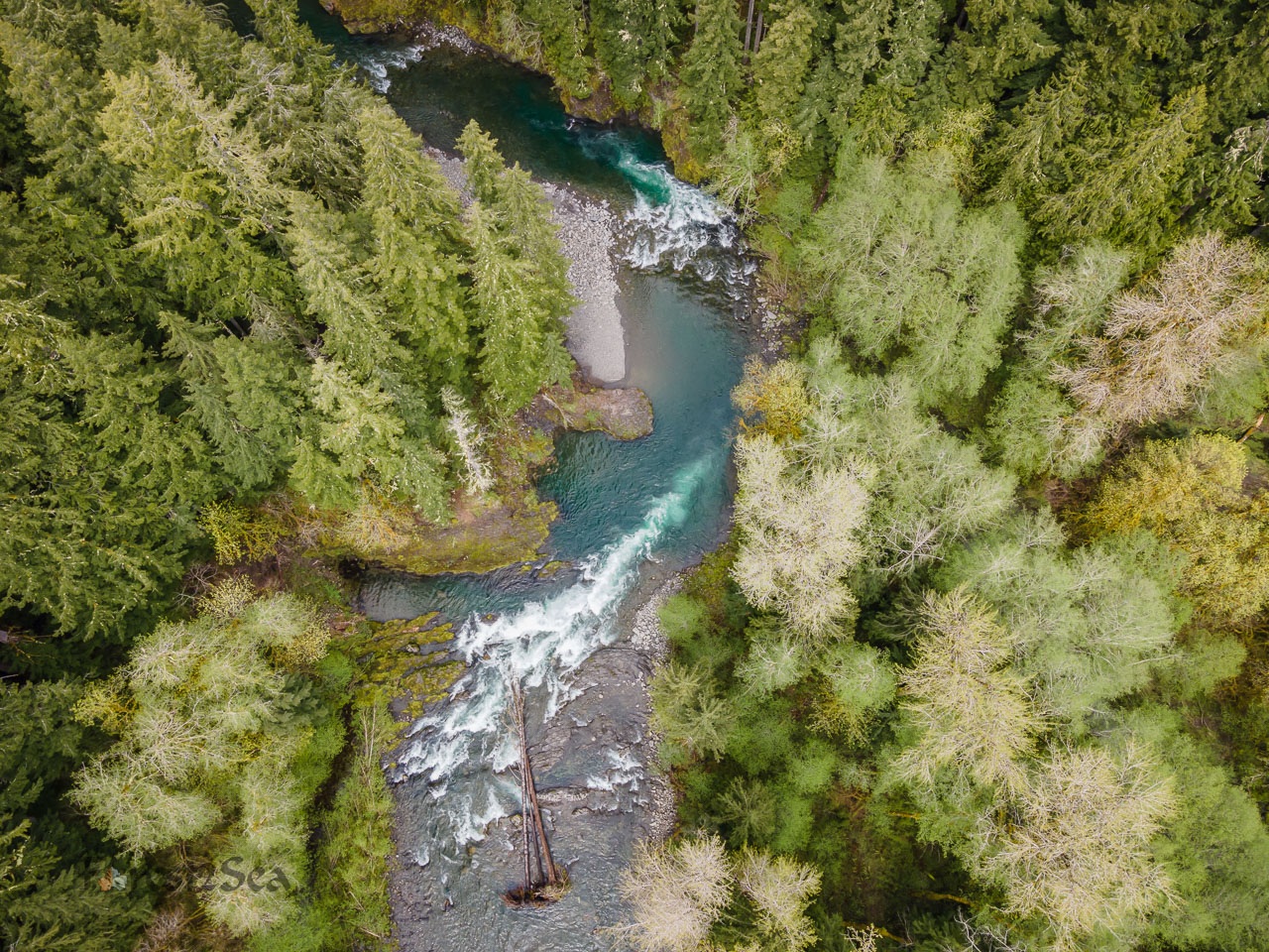 Forest2Sea Drone Photography